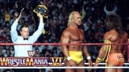 WWE WrestleMania VI wallpaper 