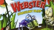 Hermie & Friends: Webster the Scaredy Spider wallpaper 