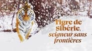 Tigre de Sibérie, seigneur sans frontières wallpaper 