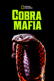 Cobra Mafia