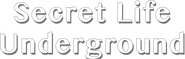 Logo of Secret Life Underground image size 4045x1300