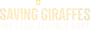 Logo of Saving Giraffes: The Long Journey Home image size 3934x1300