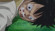 One Piece season 19 episode 809