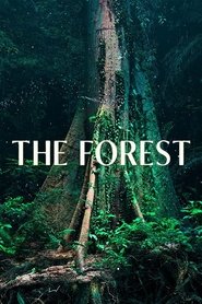 poster The Forest
