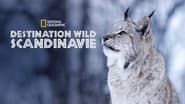 Destination Wild Scandinavie  