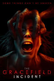 poster The Gracefield Incident