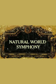Symphony poster