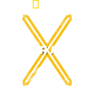 Logo of Generation X image size 1406x1297