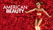 American Beauty wallpaper 