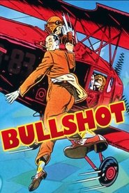 Poster of Bullshot image size 1000x1500