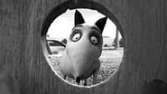 Frankenweenie wallpaper 