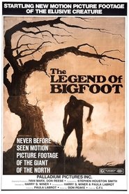 poster Bigfoot: Man or Beast?