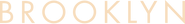 Logo of Brooklyn image size 4319x565