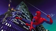 Spider-Man : Les nouvelles aventures  