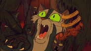 Felidae wallpaper 