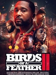 Birds of a Feather 2 2018 123movies