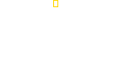 Logo of Storm Rising image size 2651x1297