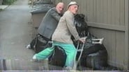 Trash Humpers wallpaper 