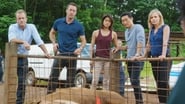 Hawaii 5-0 season 6 episode 9