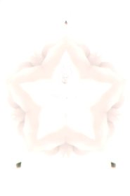 Flower of Flesh, Celestial Body (2023)