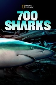 700 Sharks постер