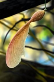 Poster Atmos Leaf 1970