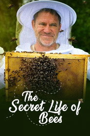 The Secret Life of Bees (2025)
