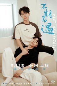 Meet Unexpectedly (2024)