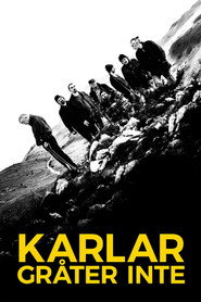 Karlar gr&aring;ter inte (2017)