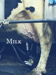 Milk постер