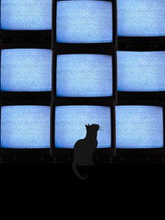 The Coolest Guy In School (2024)