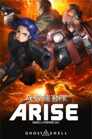 Ghost in the Shell Arise – Border 5: Pyrophoric Cult