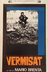 Poster Vermisat 1974