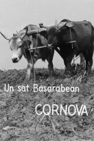 Un sat basarabean, Cornova