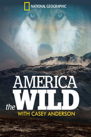 America the Wild постер