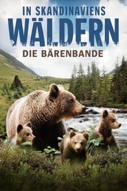 Poster In Skandinaviens Wäldern - Die Bärenbande 2016