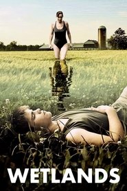 Poster Wetlands 2011