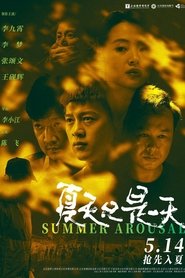 Poster 夏天只是一天