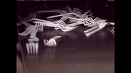 Plastic Cups and Cutlery, Special Effects Makeup, Gold, Harps