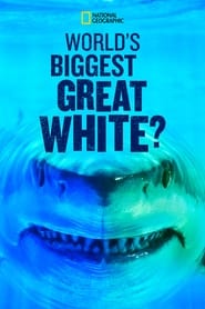 World’s Biggest Great White? Expedition Hawaii