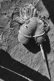 These Lands Are Not For Sale (2025)