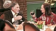 La Teoría del Big Bang Capitulo 24 Temporada 9