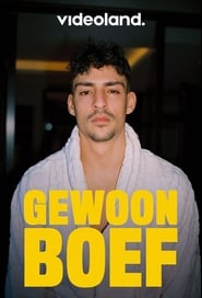 Gewoon Boef poster