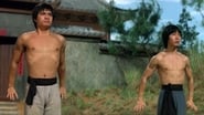 The New Shaolin Boxers en streaming