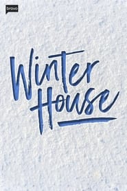 Winter House постер