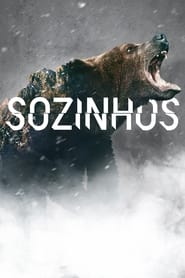 Sozinhos – Alone