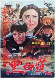 Poster 黑白道