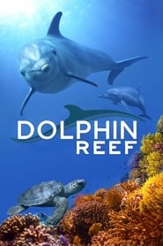 Dolphin Reef (2020) Cliver HD - Legal - ver Online & Descargar