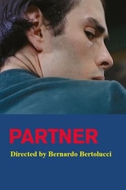 Partner постер