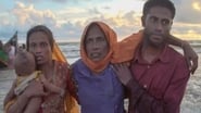 Rohingya, la mécanique du crime en streaming